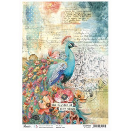copy of 